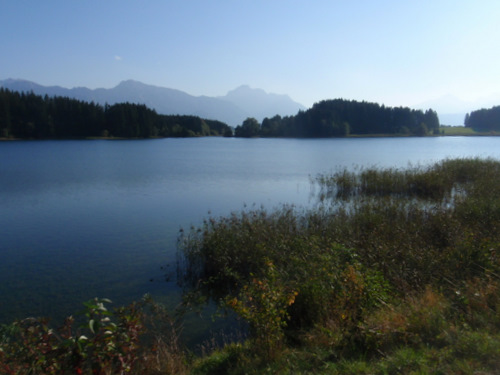 Forggensee.